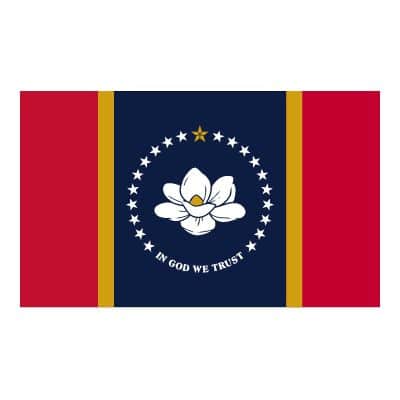 Mississippi Flag, Home inspector training in Texas, Champions