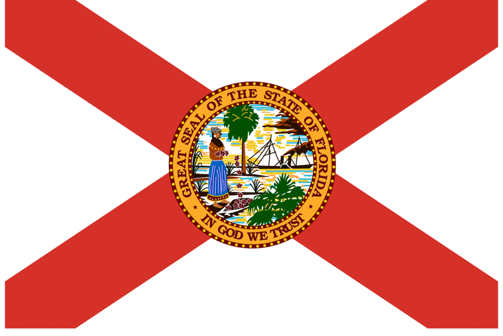 Florida Flag, Home inspector training in Texas, Champions