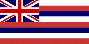 Hawaii Flag, Home inspector training in Texas, Champions