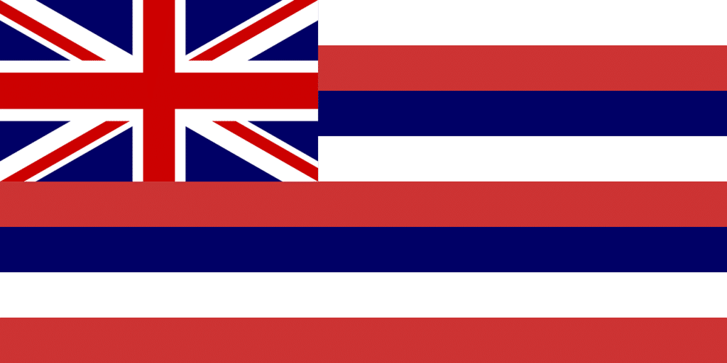 Hawaii Flag, Home inspector training in Texas, Champions