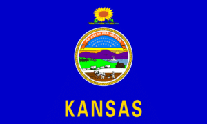 Kansas Flag, Home inspector training in Texas, Champions