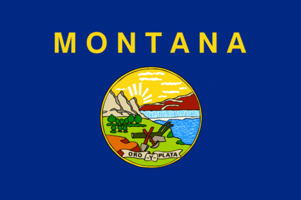 Montana Flag, Home inspector training in Texas, Champions