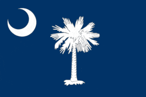 South Carolina Flag, Home inspector training in Texas, Champions