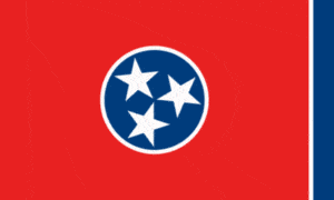 Tennessee Flag, Home inspector training in Texas, Champions
