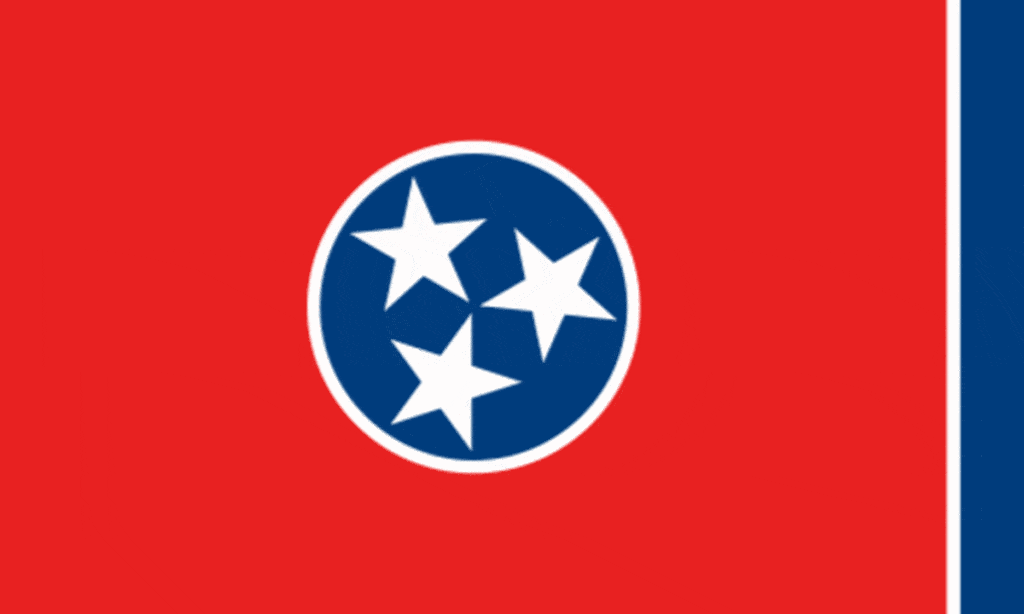 Tennessee Flag, Home inspector training in Texas, Champions