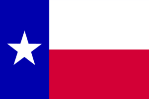 Texas Flag, Flag, Home inspector training in Texas, Champions