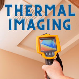 Thermal Imaging, home inspector school texas